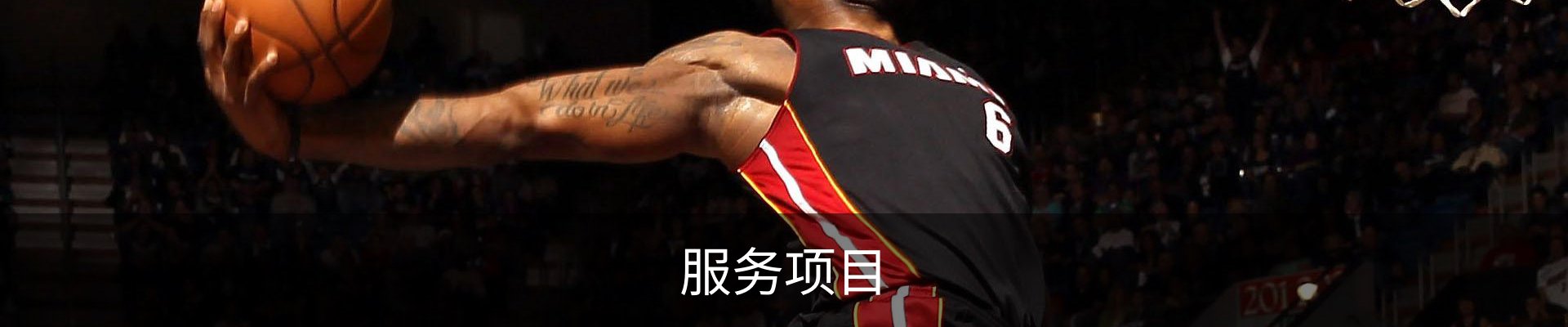 服务项目